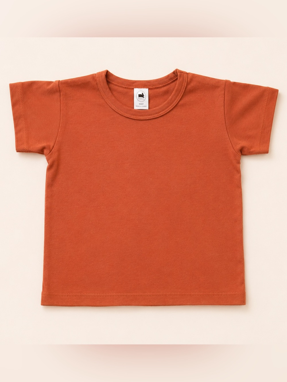 Little & Lively Kids Rust Tshirt / Bamboo Kids Clothing / Small Shop / Summer